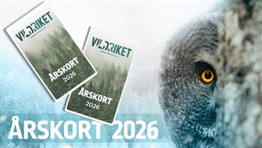 Bild för: Årskort 