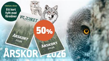 Bild för: Vildrikets Vänner