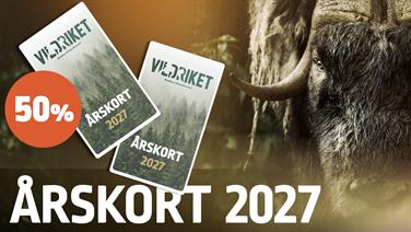 Bild för: Årskort 