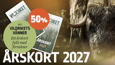 Bild för: Vildrikets Vänner